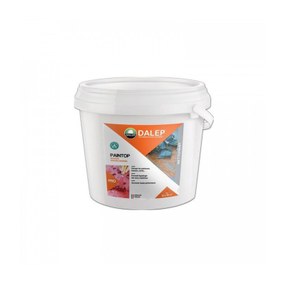 PAINTOP Décapant peinture universel Dalep