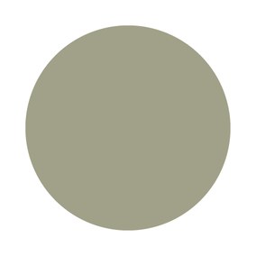 Lichen No. 19 Farrow & Ball