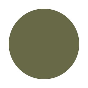 Bancha No. 298 Farrow & Ball