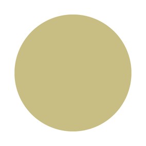 Churlish Green No. 251 Farrow & Ball