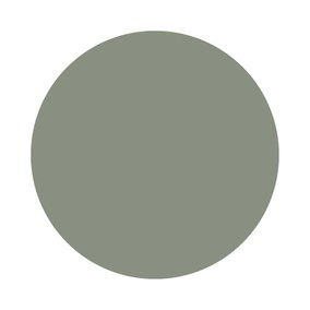 Card Room Green No. 79 Farrow & Ball