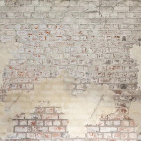 Brickwall Collection Reliefs Papier peint panoramique Caselio