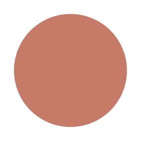 Red Earth No. 64 Farrow & Ball