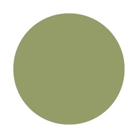 Olive No. 13 Farrow & Ball