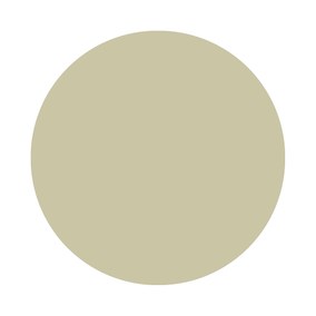 Ash Grey No. W9 Farrow & Ball
