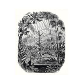 Jardin D' Hiver Papier peint panoramique Caselio