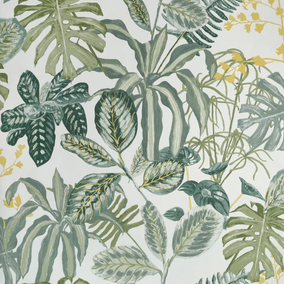 Manaus Collection Green & Co Papier peint Caselio