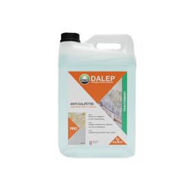 ANTI-SALPÊTRE Traitement prêt à l'emploi Dalep