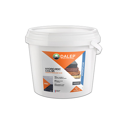 HYDRO-ROC COLOR Hydrofuge Minéralisant Coloré anthracite 5L Dalep