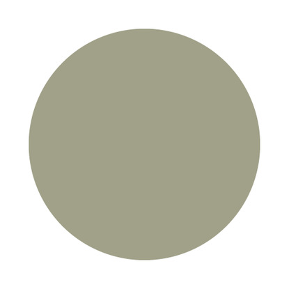 Echantillon Lichen No. 19 Farrow & Ball