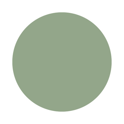 Echantillon Breakfast Room Green No. 81 Farrow & Ball