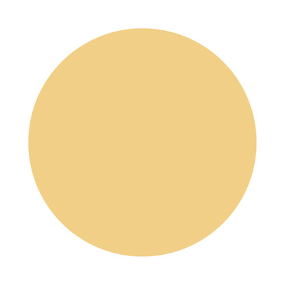 Echantillon Yellow Ground No. 218 Farrow & Ball