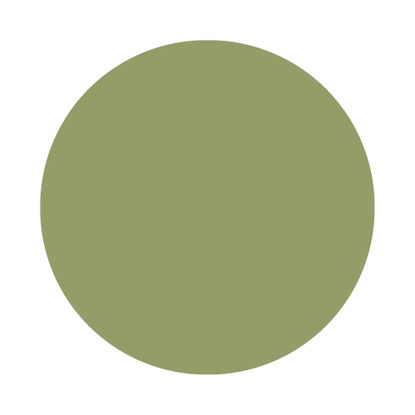 Echantillon Olive No. 13 Farrow & Ball