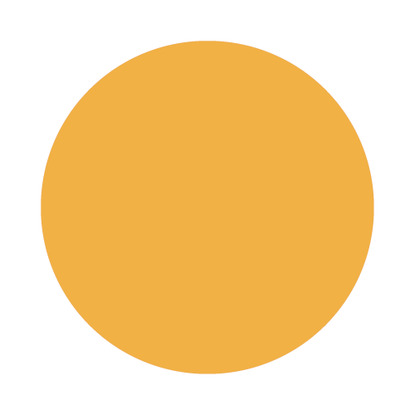 Echantillon Dutch Orange No. W76 Farrow & Ball