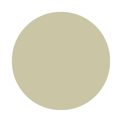 Echantillon Ash Grey No. W9 Farrow & Ball