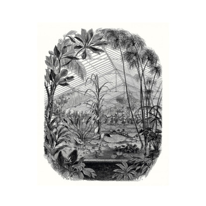 Jardin D' Hiver noir et blanc Papier peint panoramique Caselio