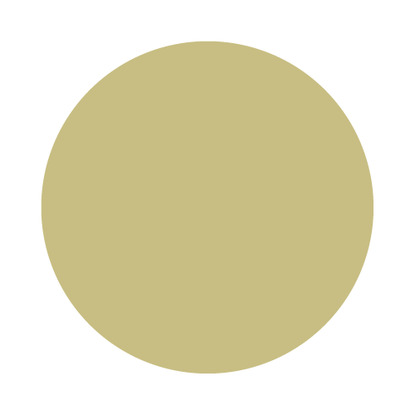 Echantillon Churlish Green No. 251 Farrow & Ball