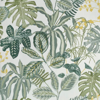Manaus vert mousse Collection Green & Co Papier peint Caselio