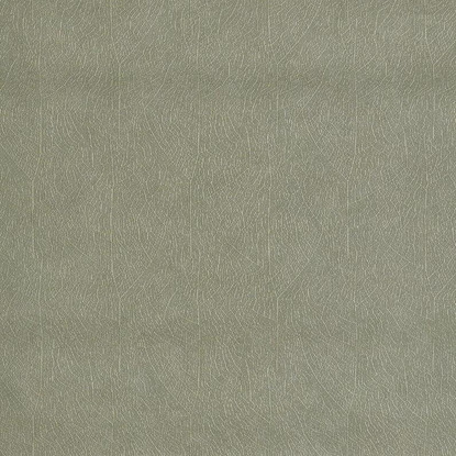 Nola vert eucalyptus Collection Vegetals Papier peint Casadeco