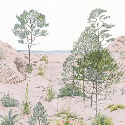 Sand dune Collection Reliefs Papier peint panoramique Caselio