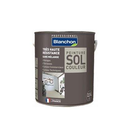 Peinture Sol couleur blanc 0.5L Blanchon