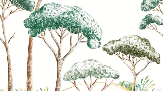 Boutique en ligne de vente de matériel de bricolage